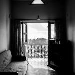 jakie kwiaty na balkon